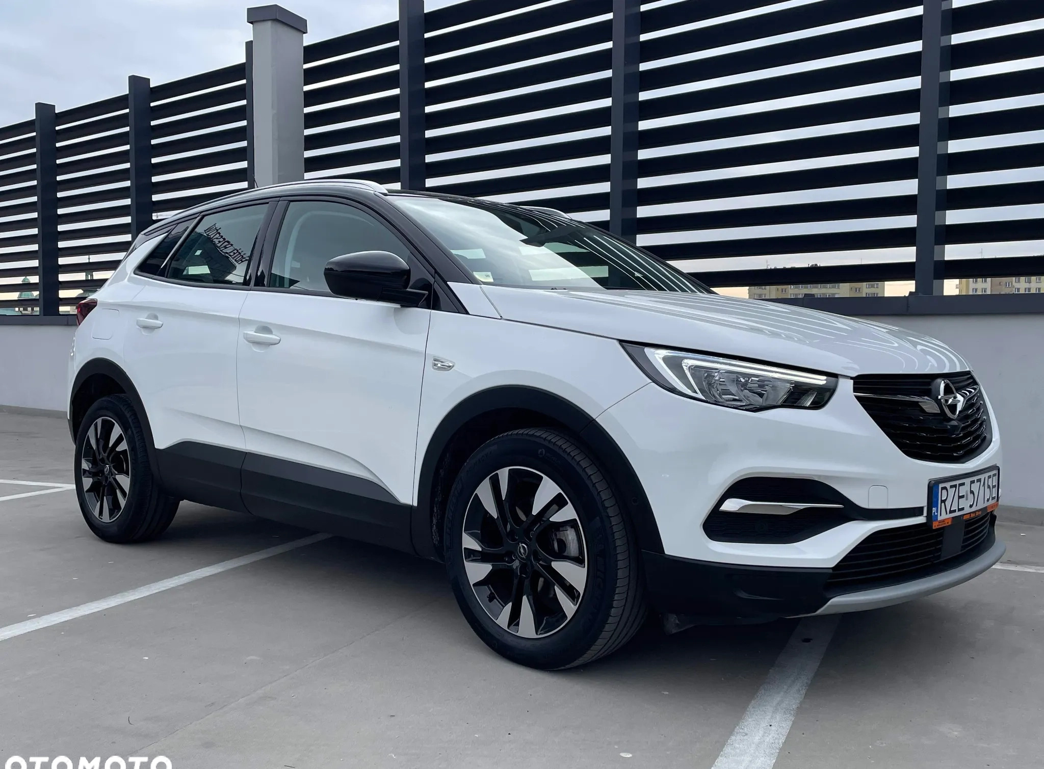 Opel Grandland X cena 89900 przebieg: 45200, rok produkcji 2021 z Rzeszów małe 704